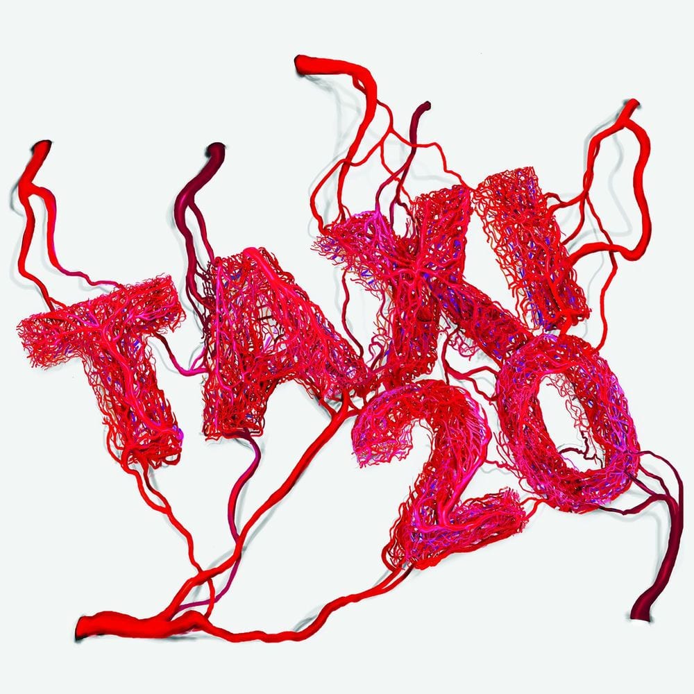 20 cover