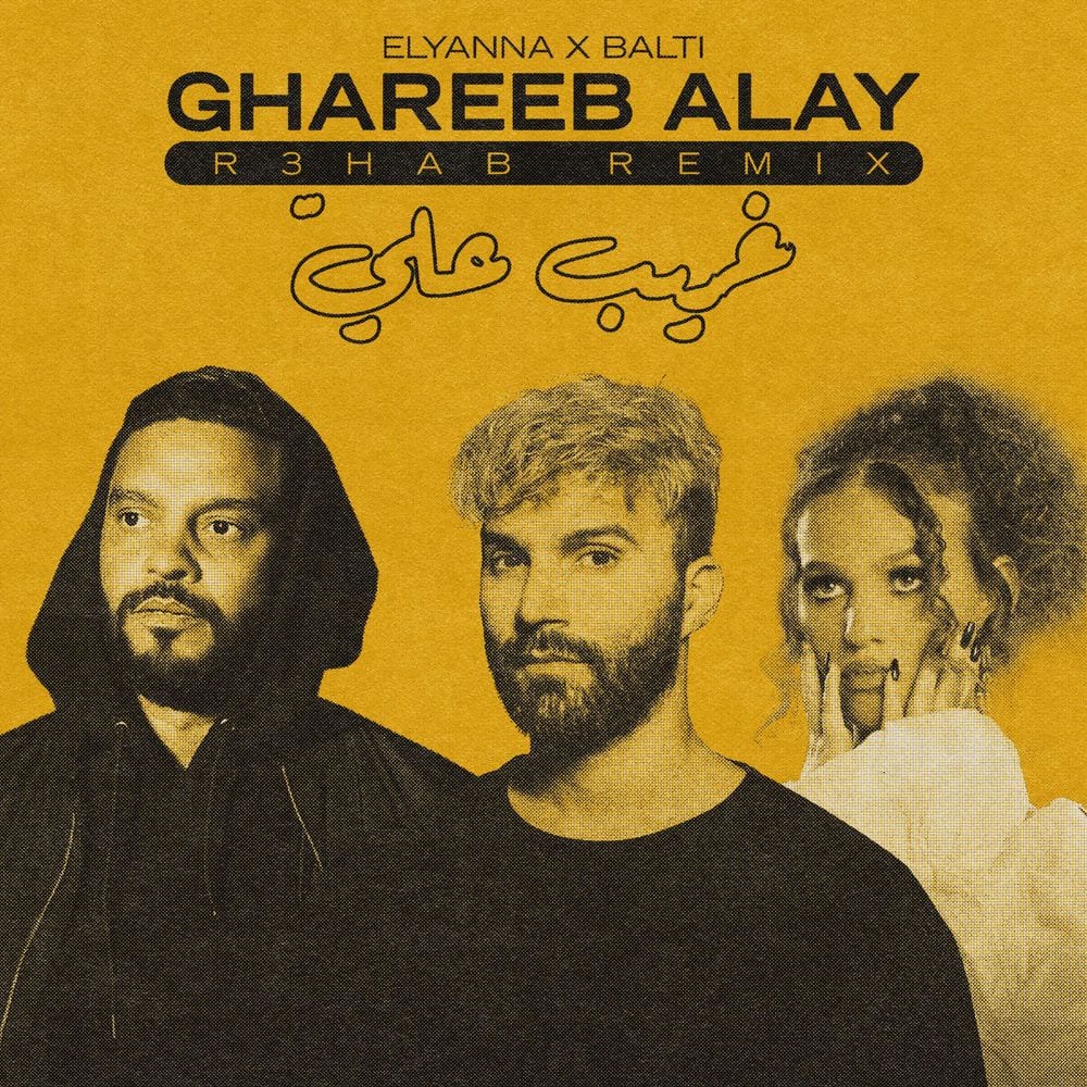 Ghareeb Alay (R3HAB Remix) cover