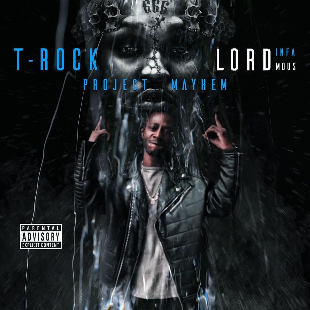Project Mayhem cover