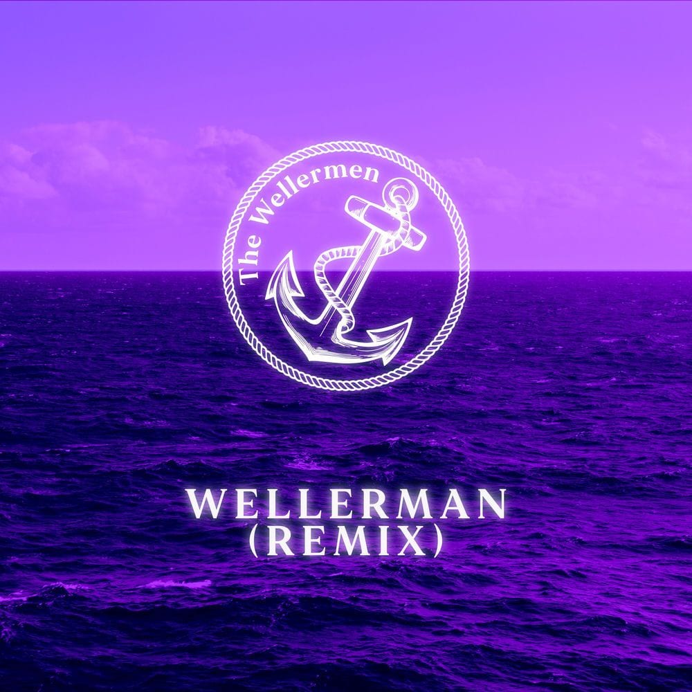 Wellerman (Remix) cover