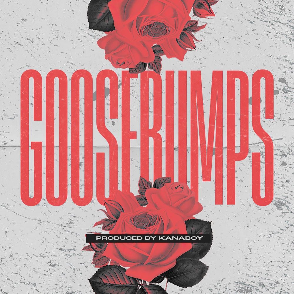 Goosebumps cover