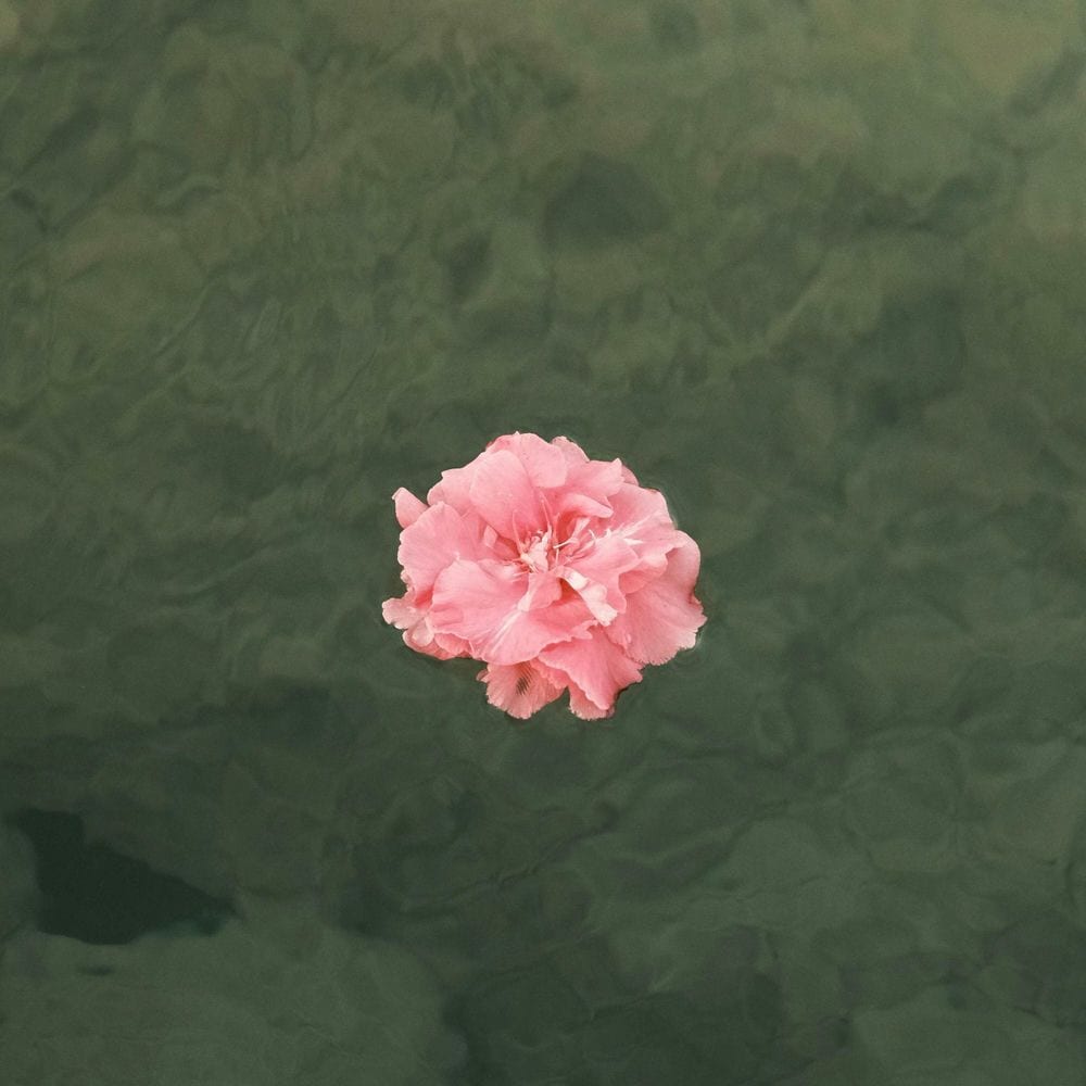 Nothing To Do But Dream (Fall) cover