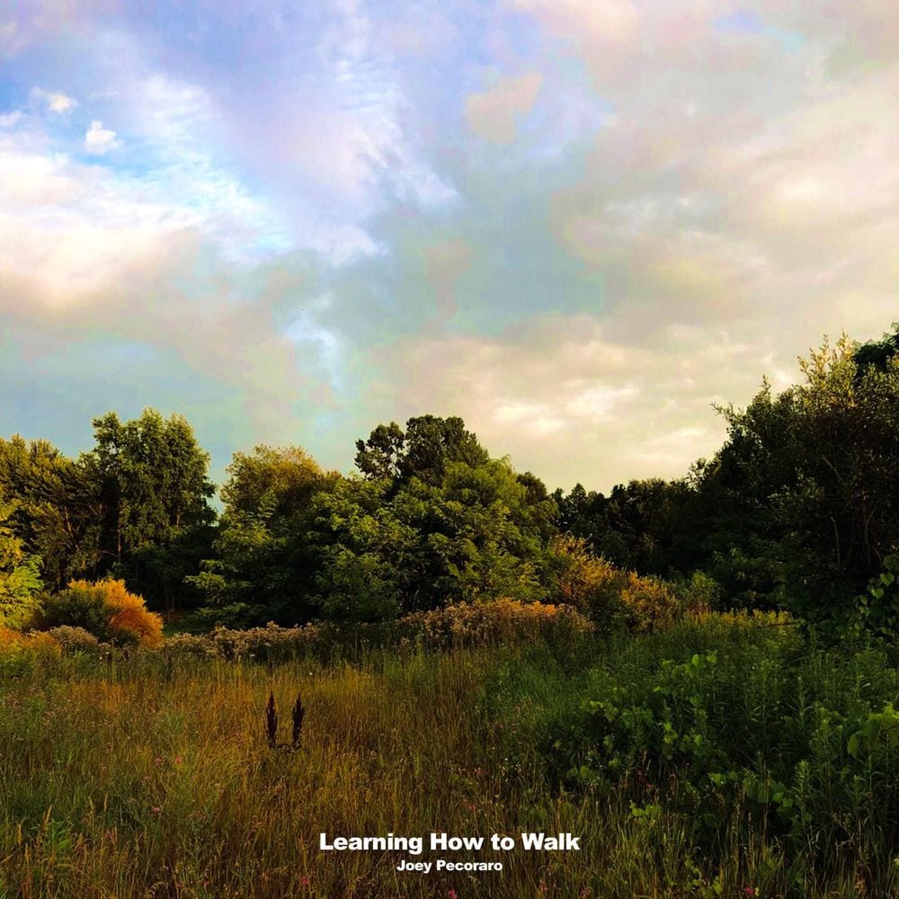 Learning How To Walk cover