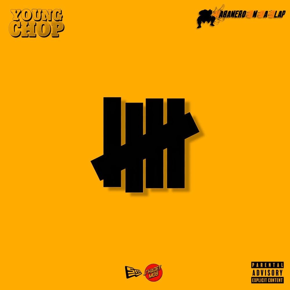 Undefeated cover