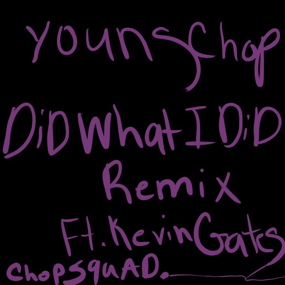 Did What I Did (Remix) cover
