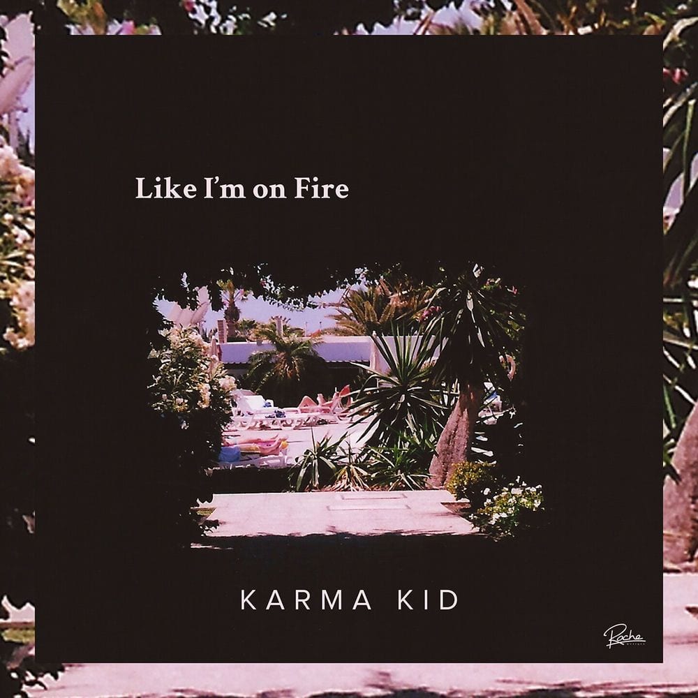 Like I'm on Fire (Kartell Remix) cover