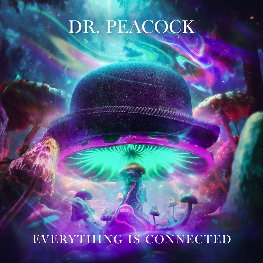 Everything is Connected cover