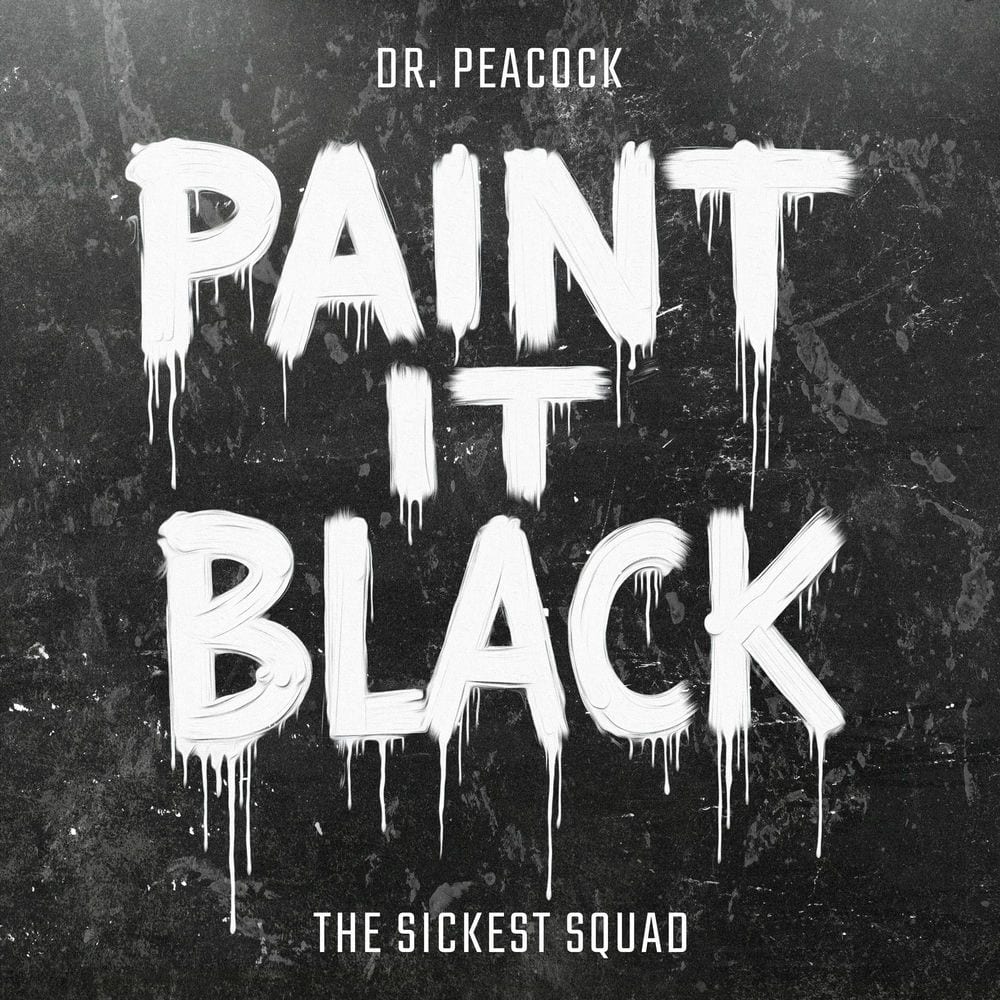 Paint It Black cover
