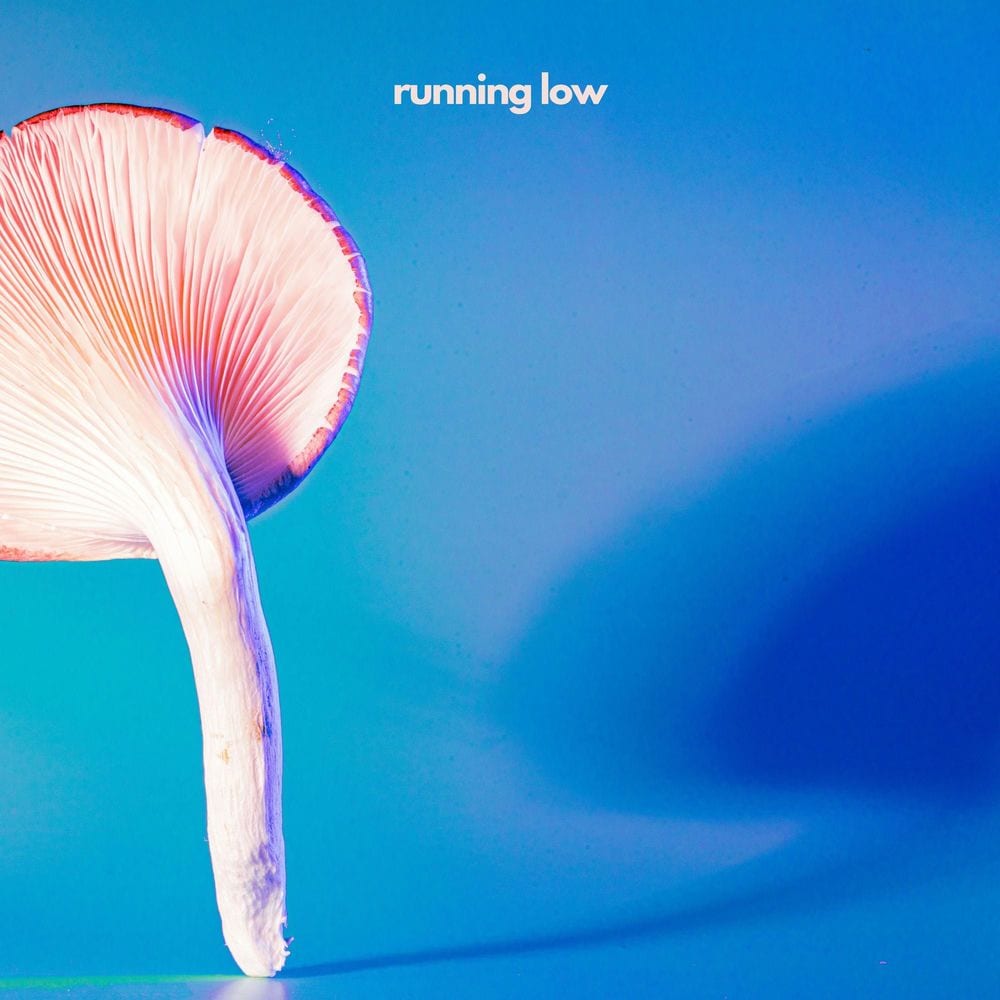 Running Low cover