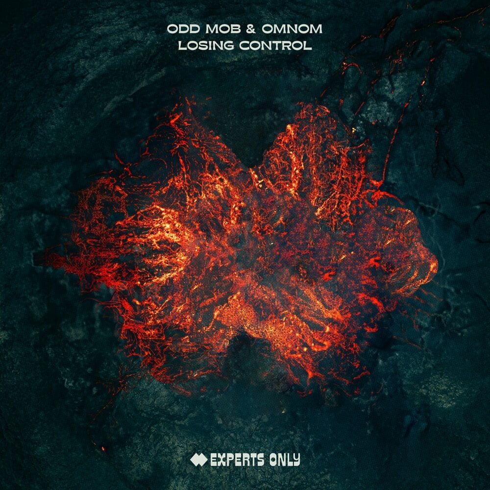 Losing Control (Extended Mix) cover