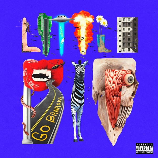 GO BANANAS cover