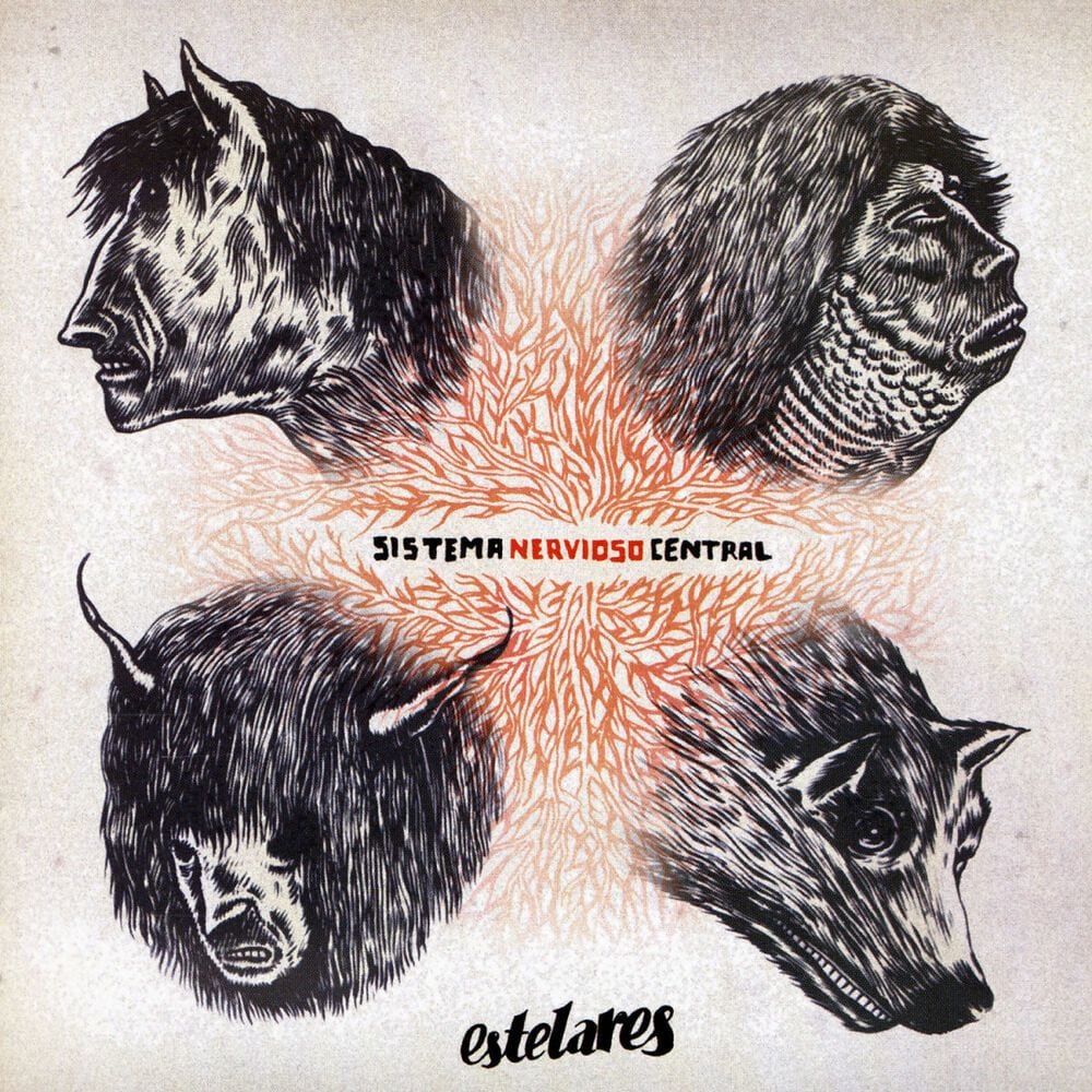 Sistema nervioso central cover