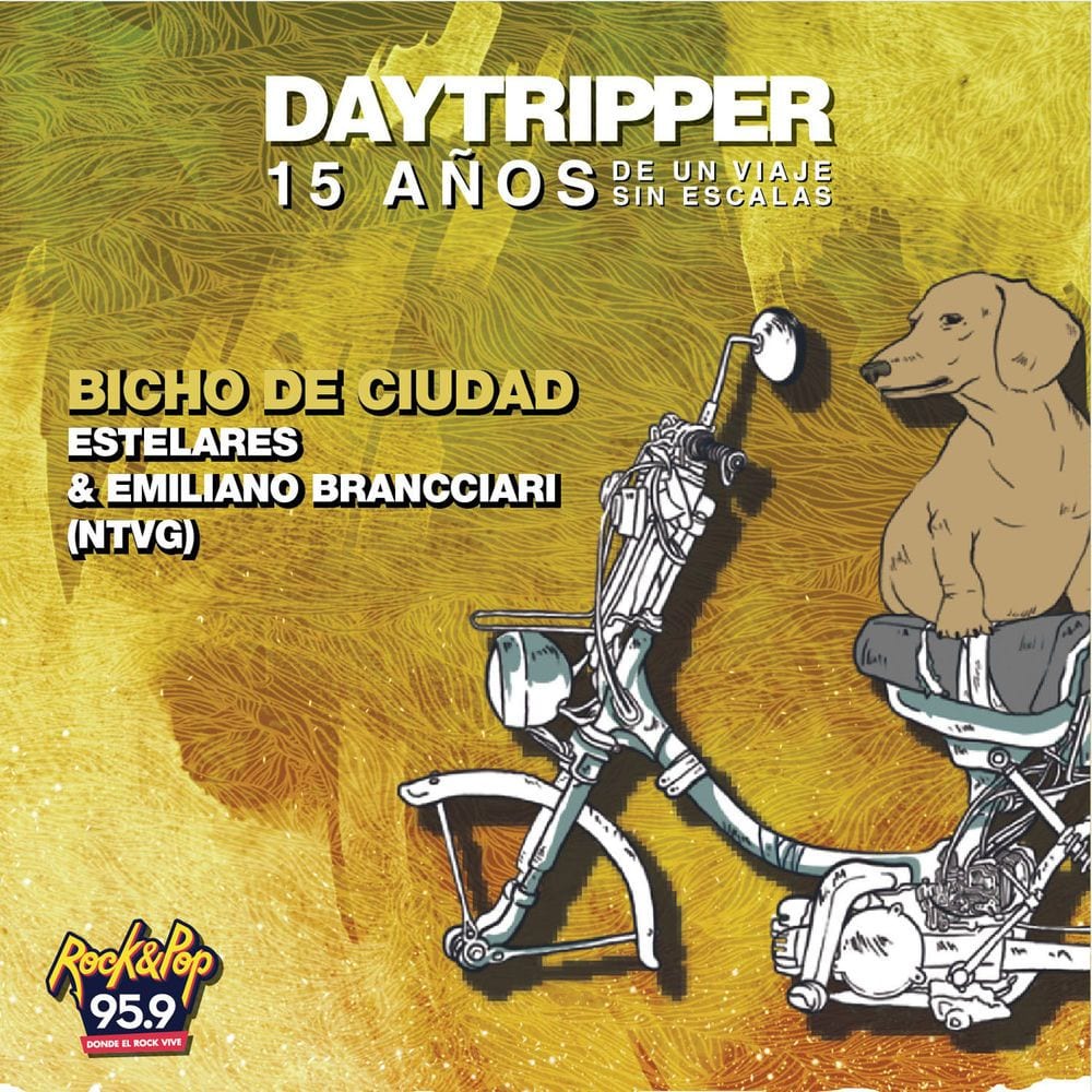 Bicho de Ciudad cover