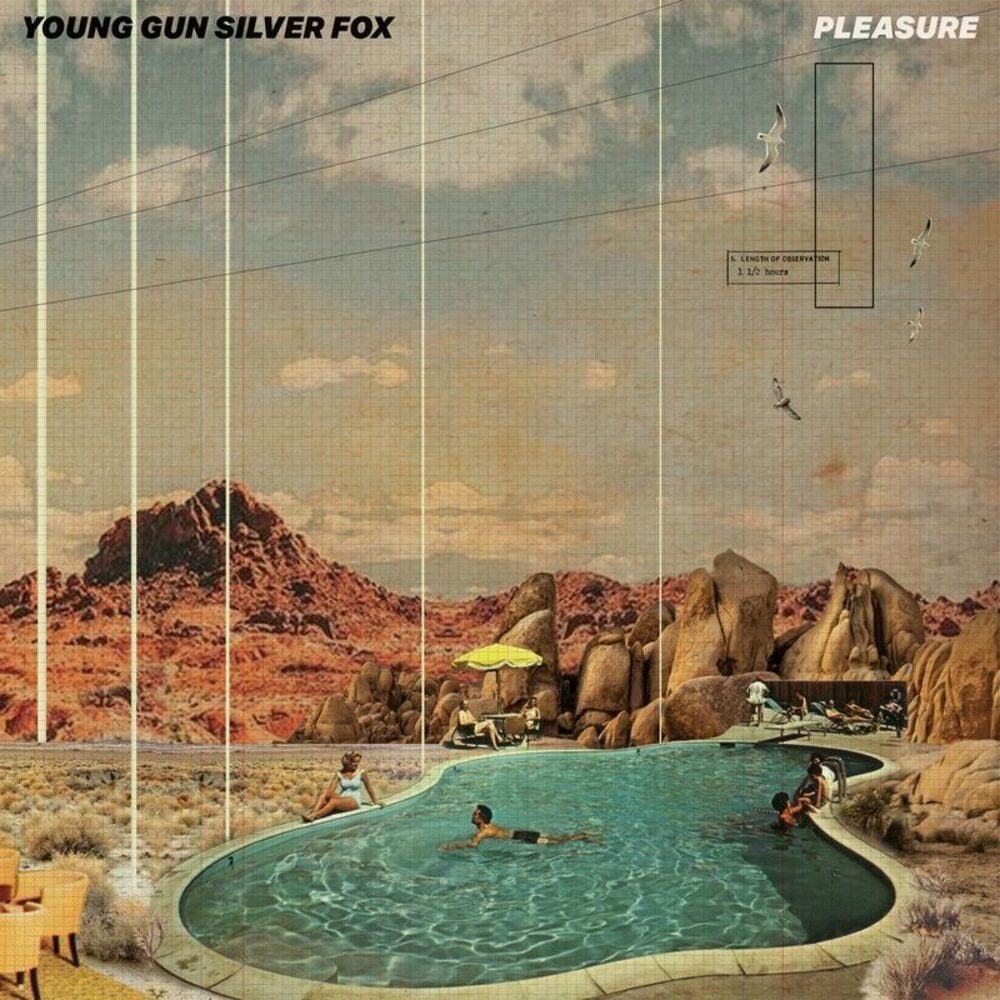 Pleasure cover