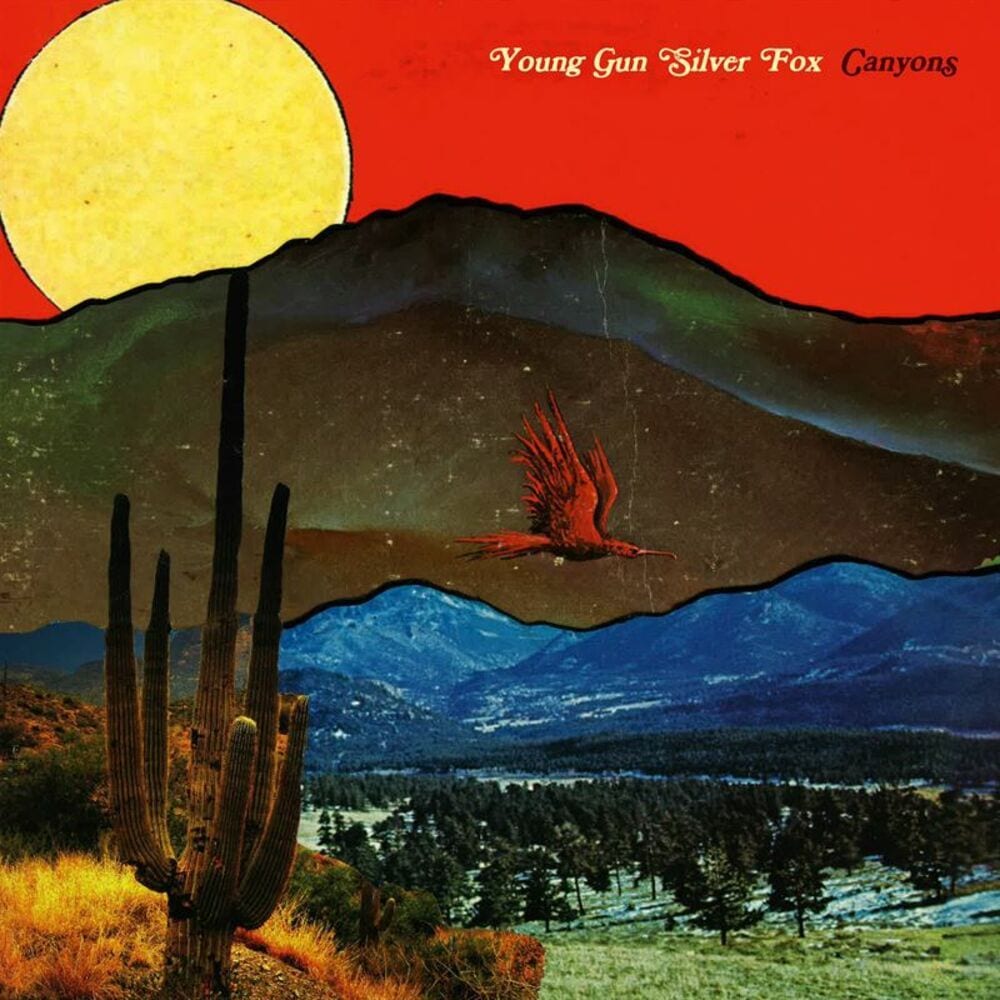 Canyons cover
