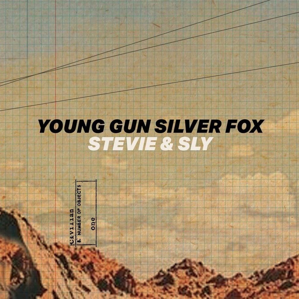 Stevie & Sly cover