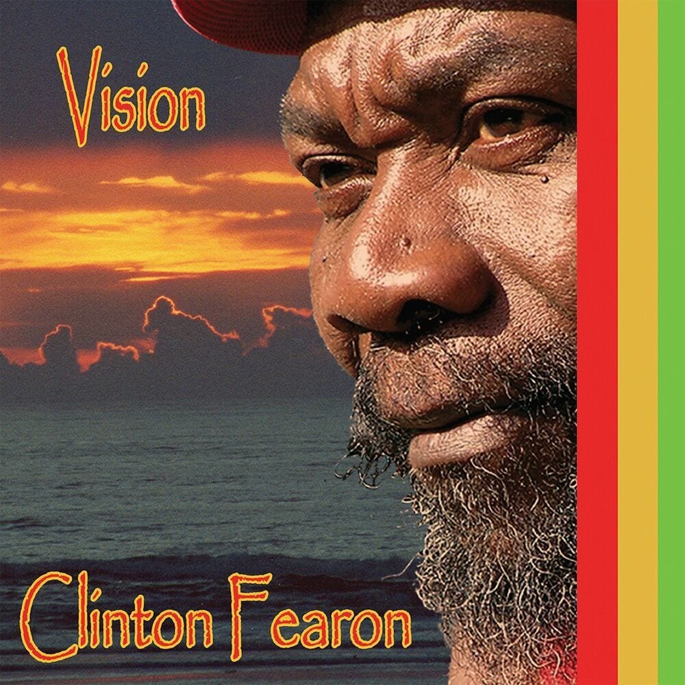 Vision cover
