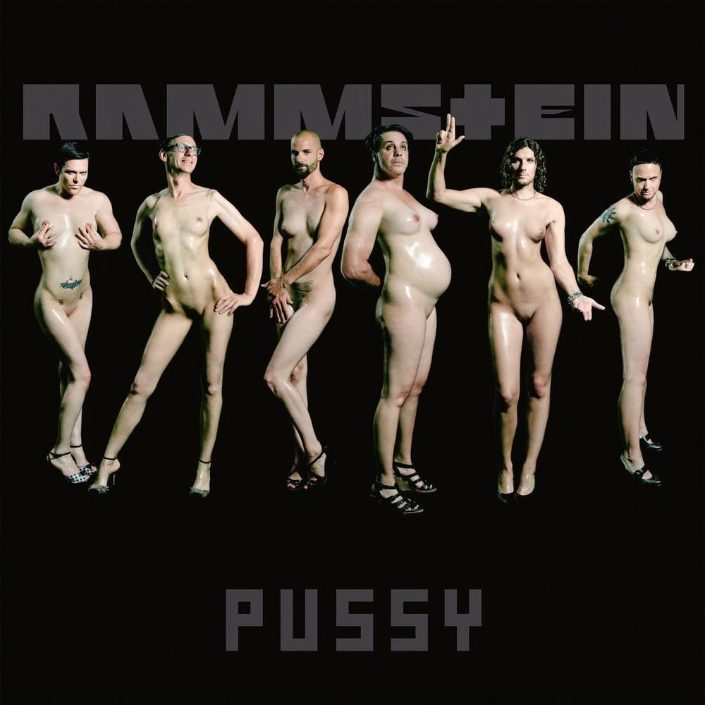 Pussy cover