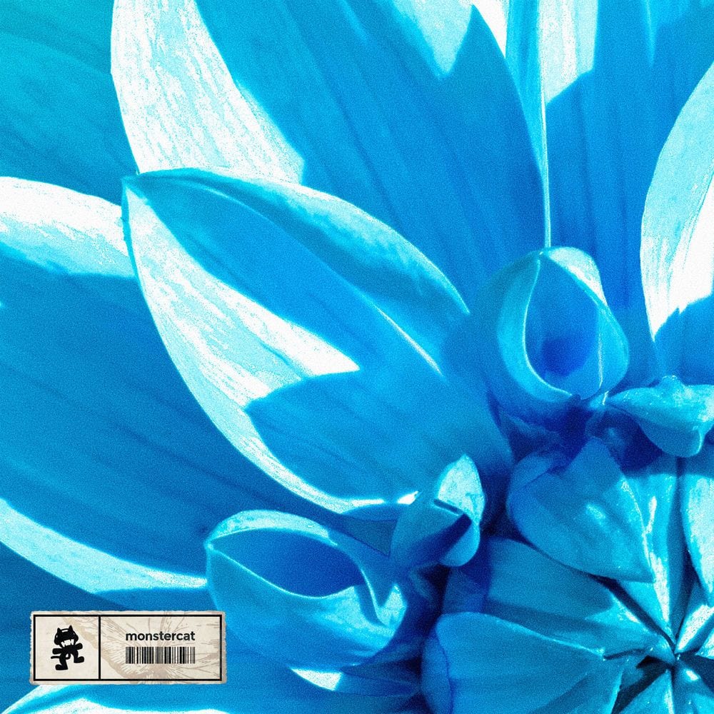 Let It Bloom cover