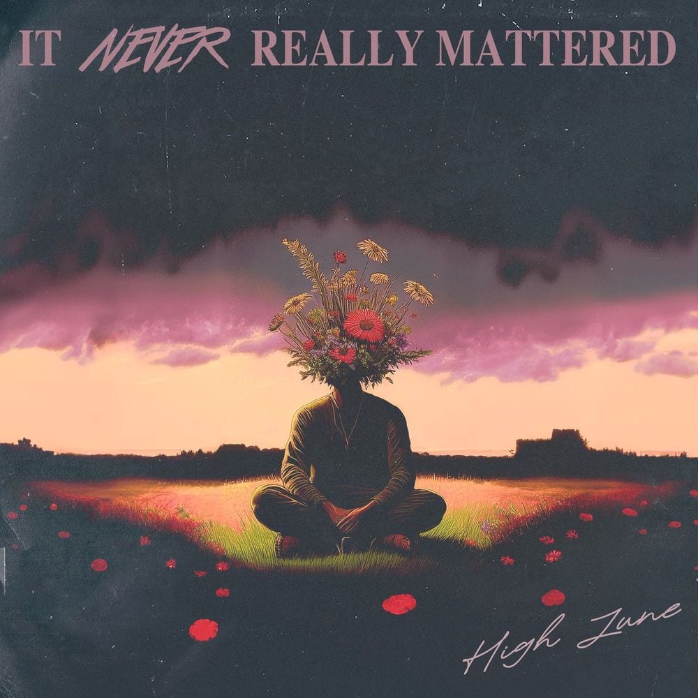It Never Really Mattered cover