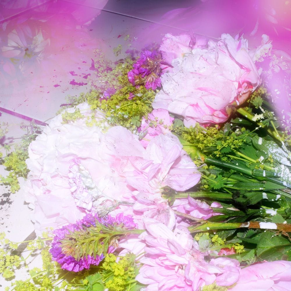 Chanson d'amour album cover