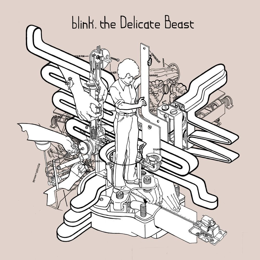 The Delicate Beast cover