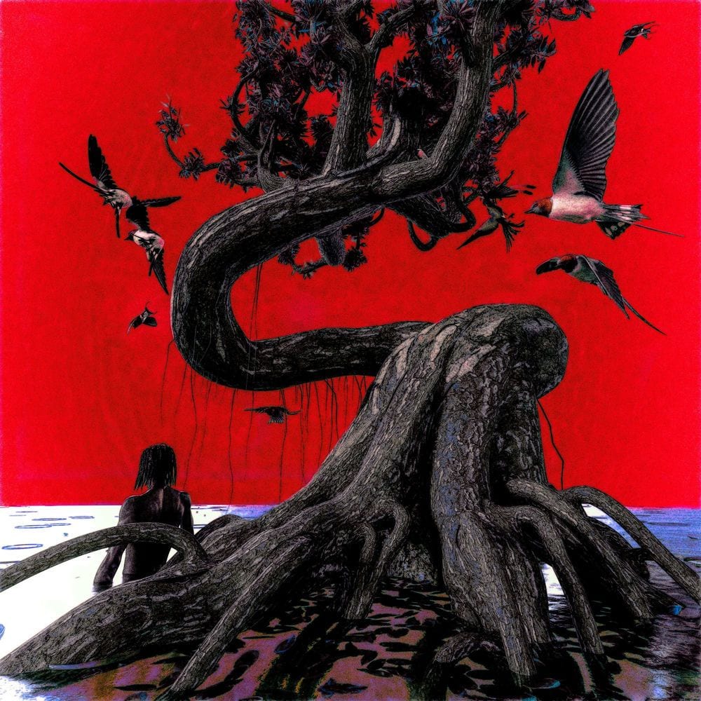 birds cover