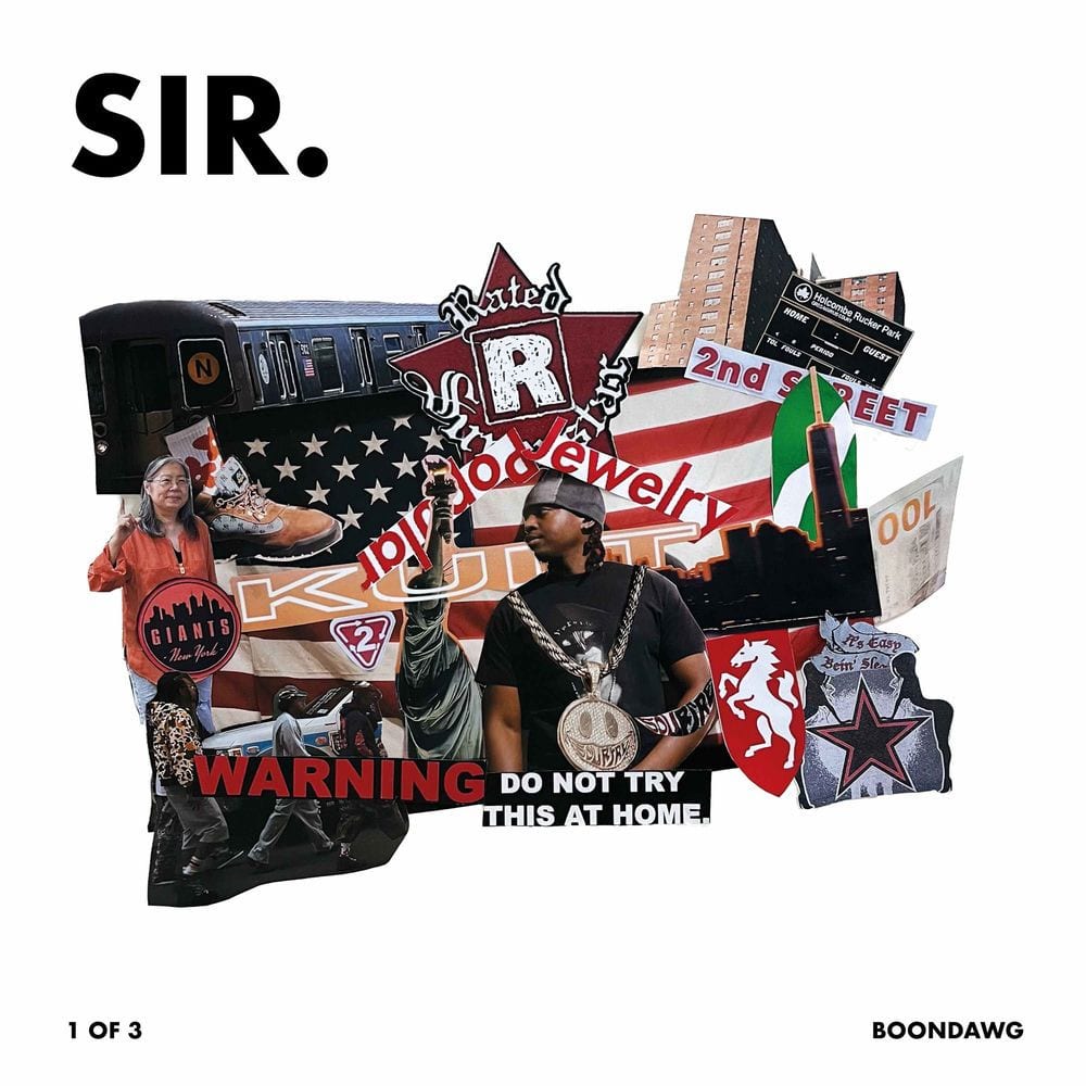 SIR cover