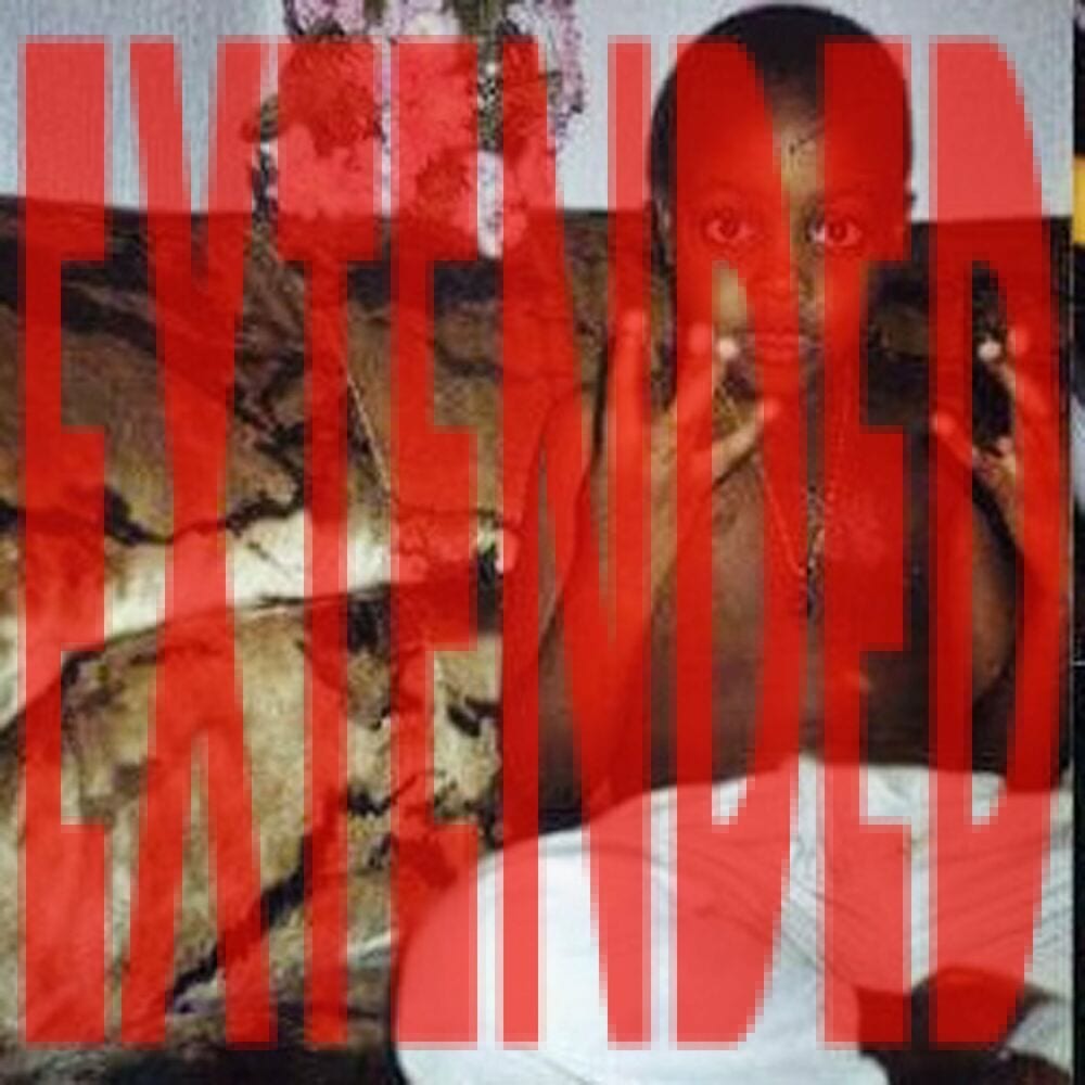 GANGSIGNS EXTENDED cover