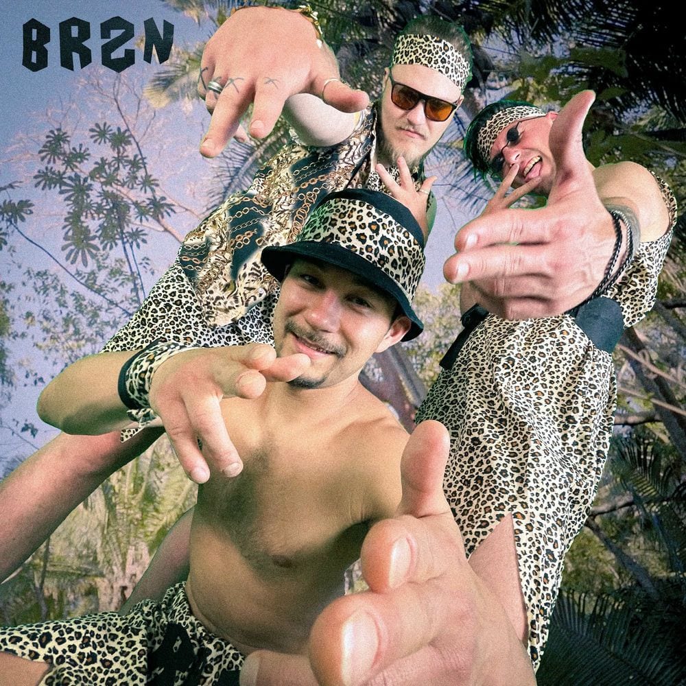 Barzan cover
