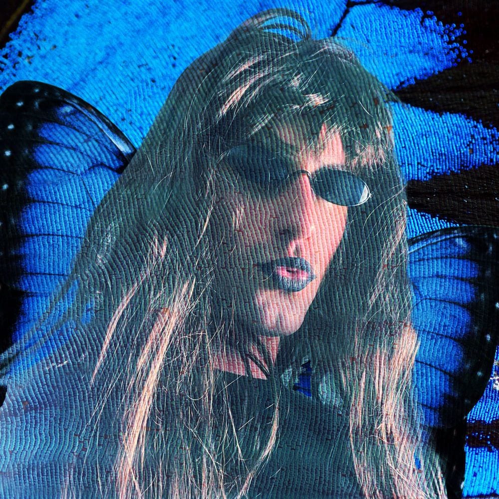 Butterfly cover