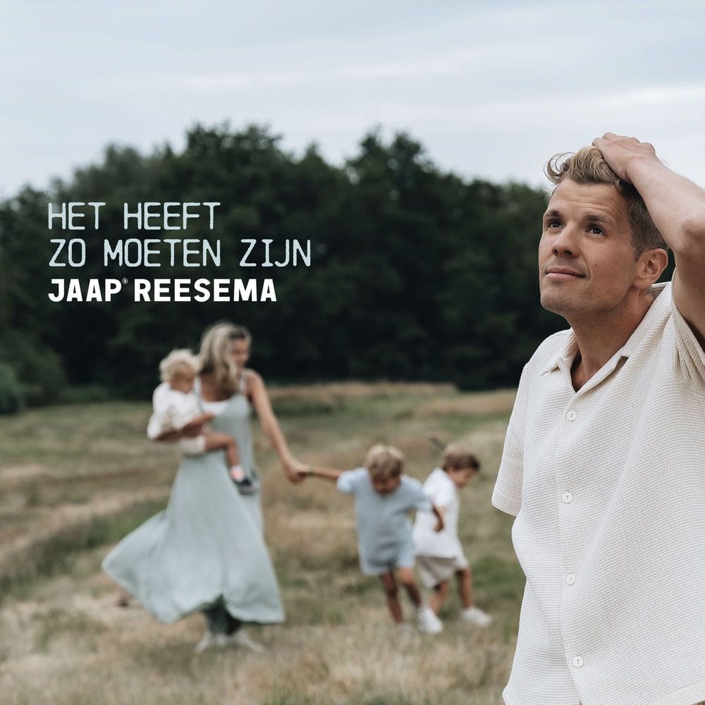 Het heeft zo moeten zijn cover