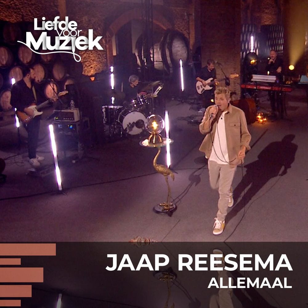 Allemaal (uit Liefde Voor Muziek) cover