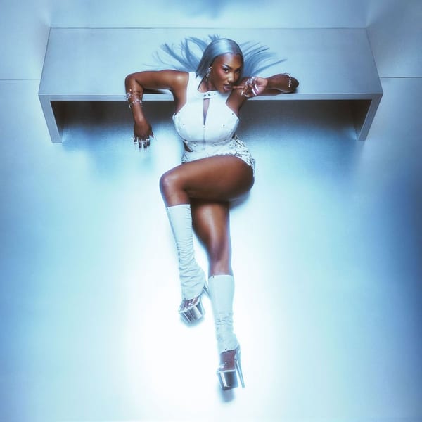 Destinée album cover