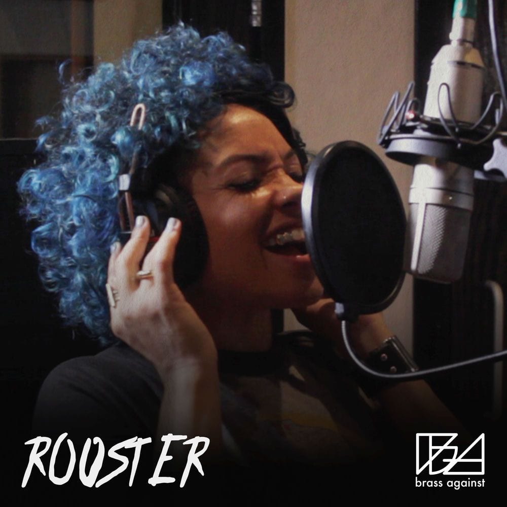 Rooster cover