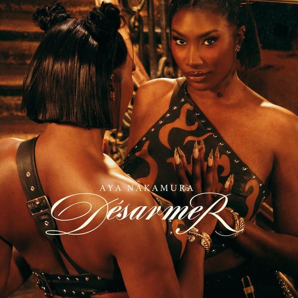 Désarmer album cover