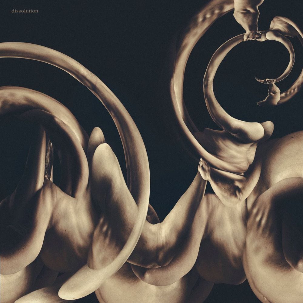 dissolution cover
