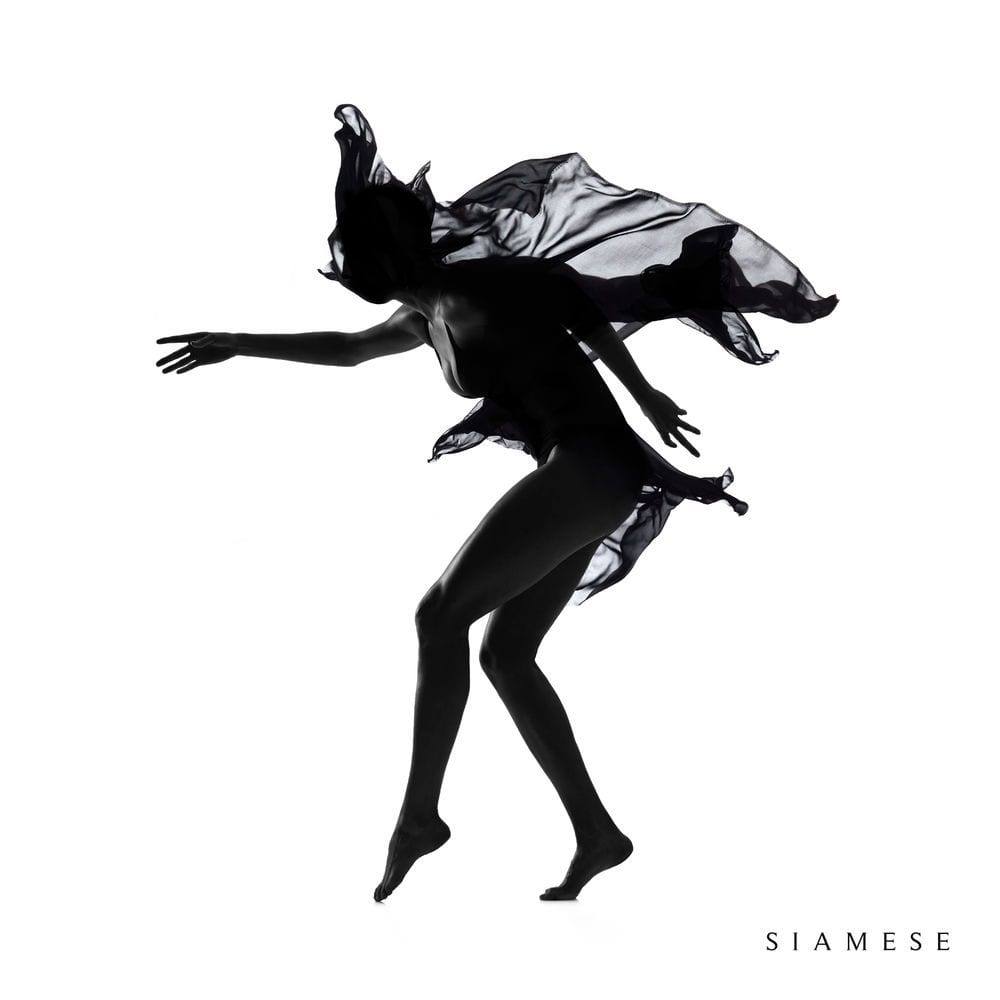 Siamese cover