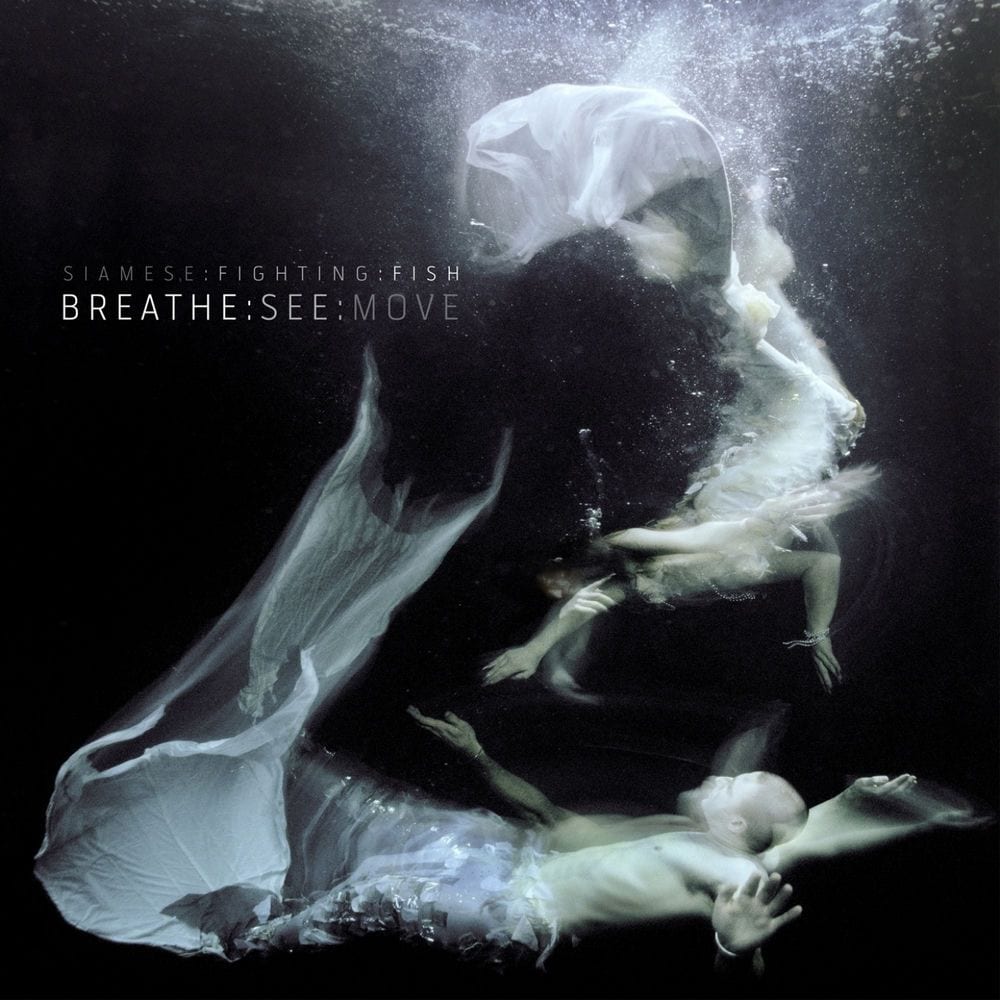 Breathe:See:Move cover