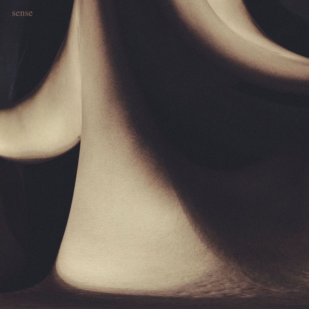 sense cover