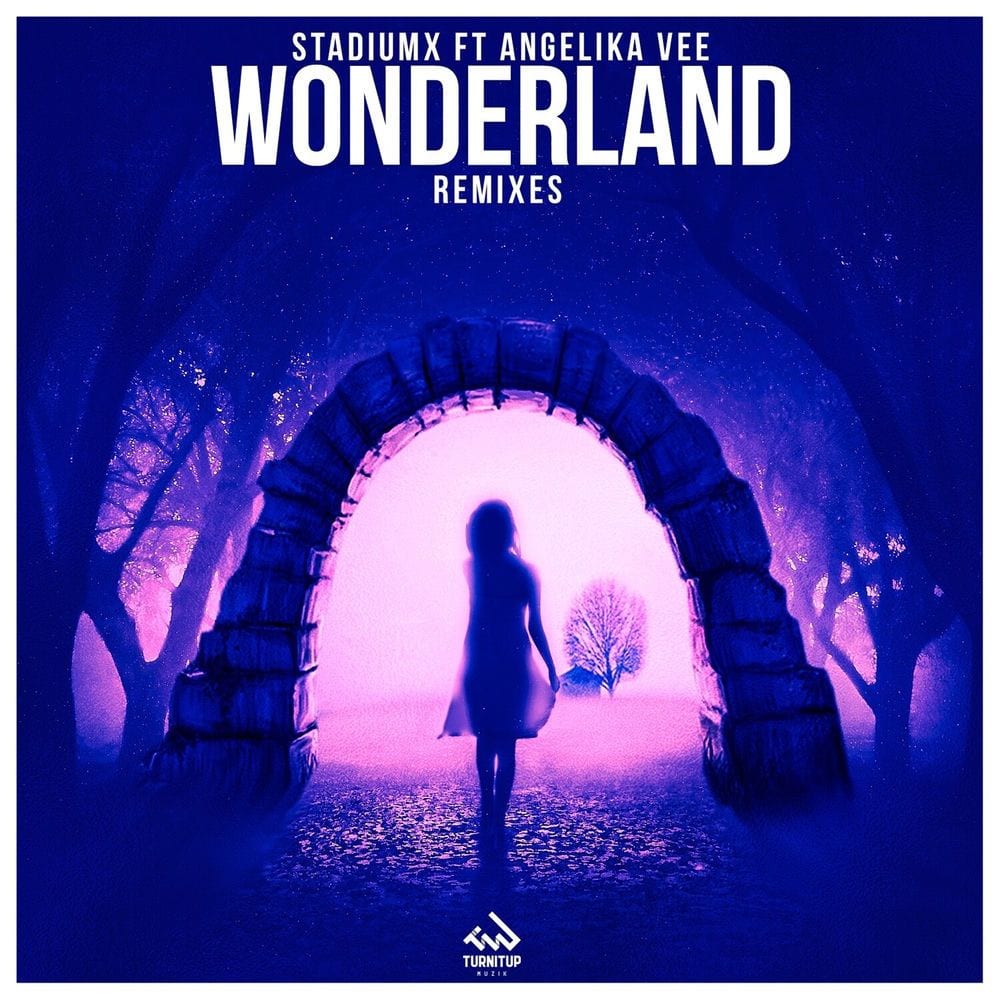 Wonderland (Remixes) cover
