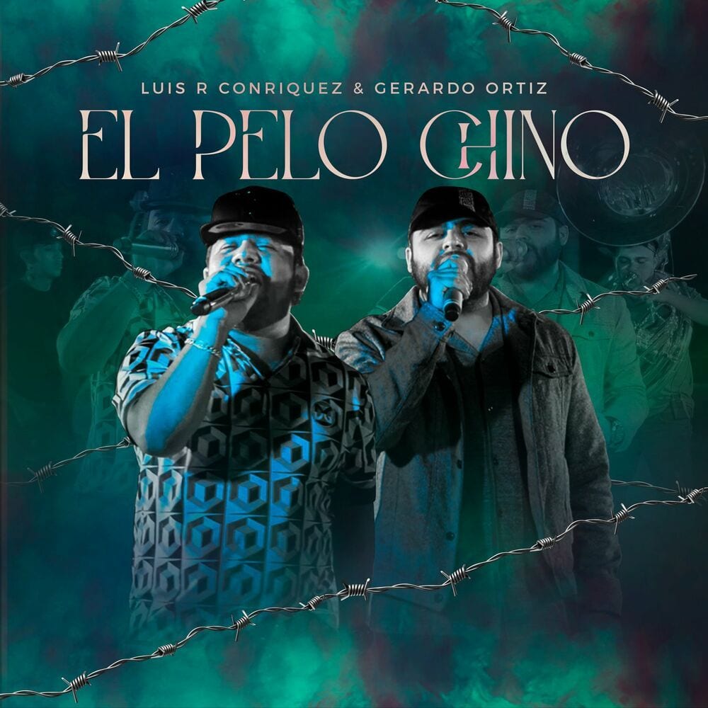 El Pelo Chino cover