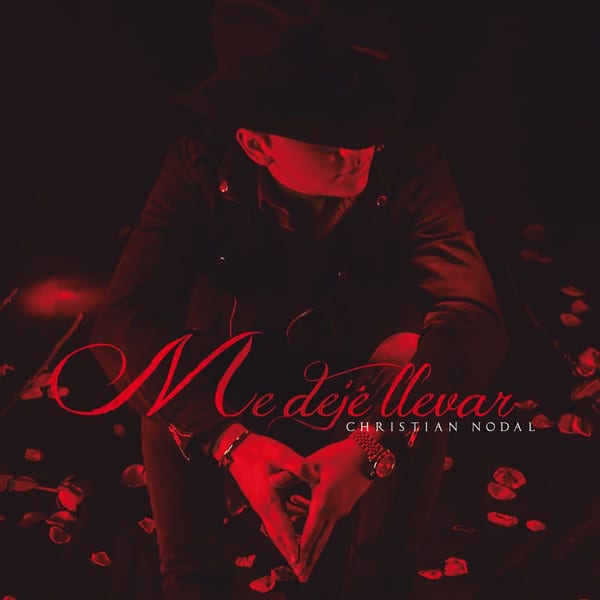 Me dejé llevar cover