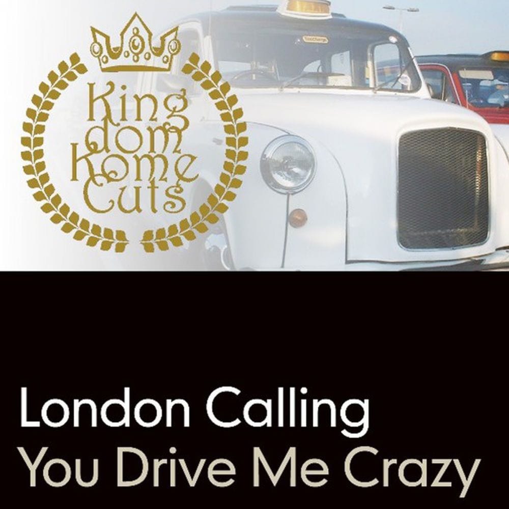 You Drive Me Crazy cover
