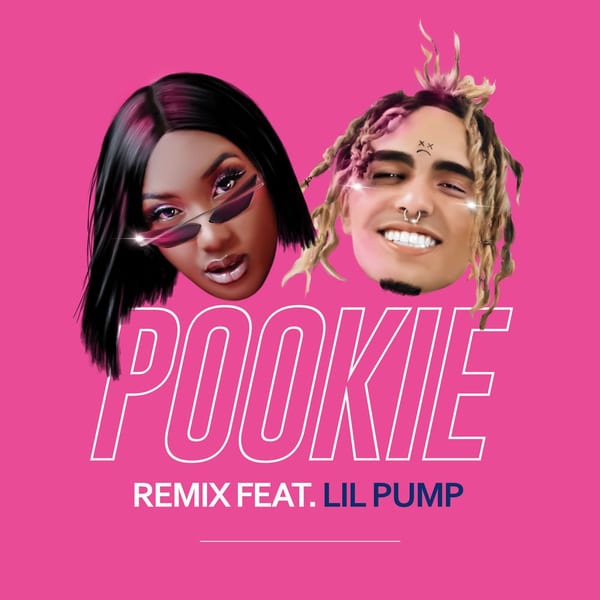 Pookie (feat. Lil Pump) (Remix) cover