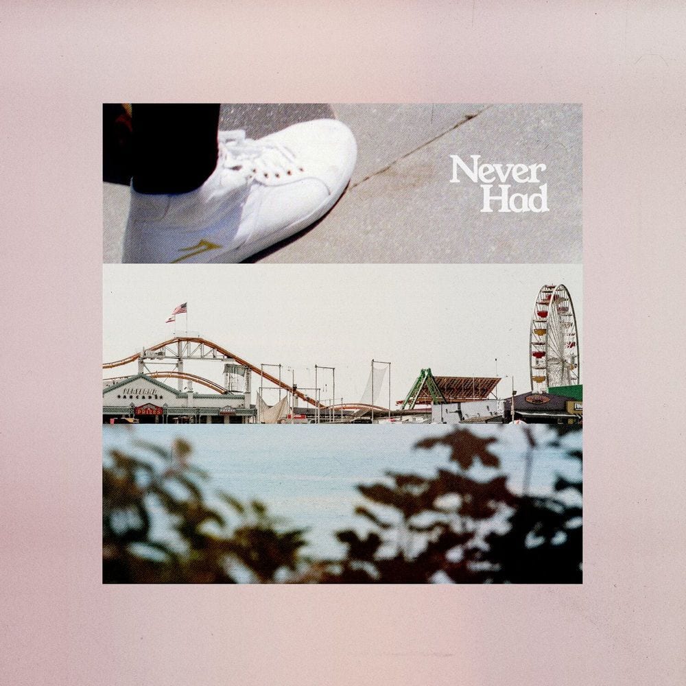 Never Had cover