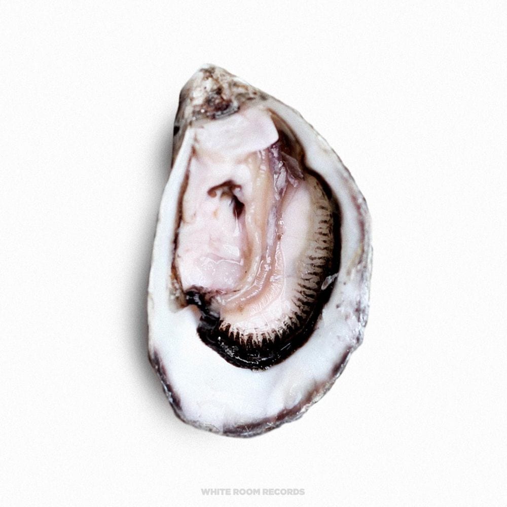 Open cover