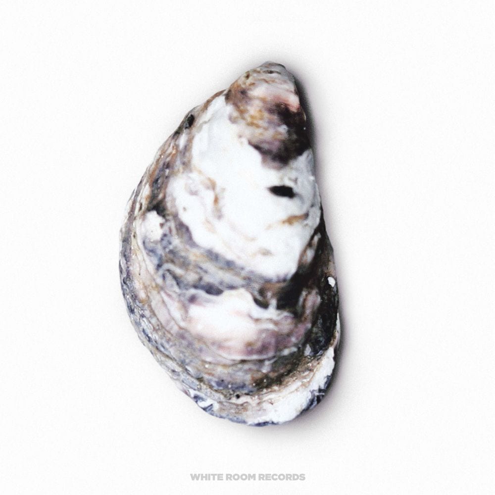 Closer cover