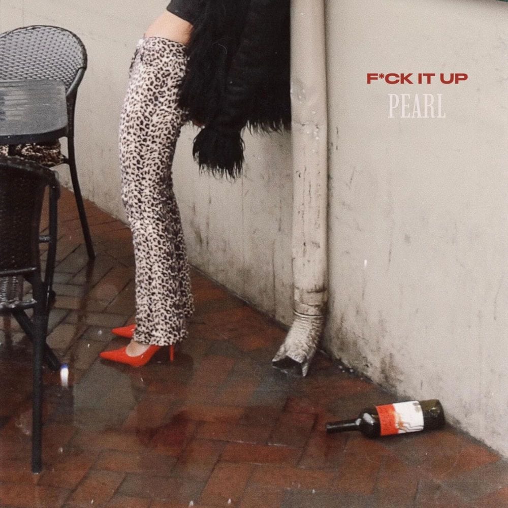 F*ck It Up cover
