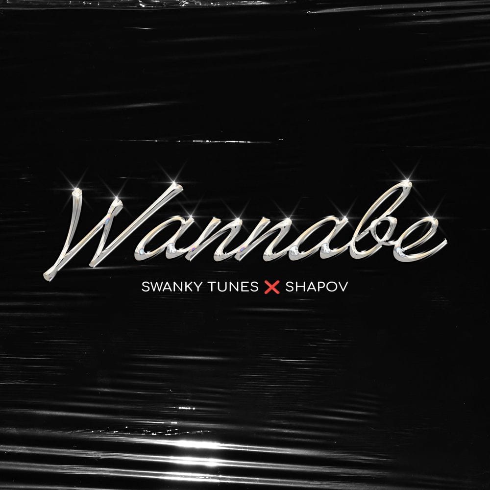 Wannabe cover
